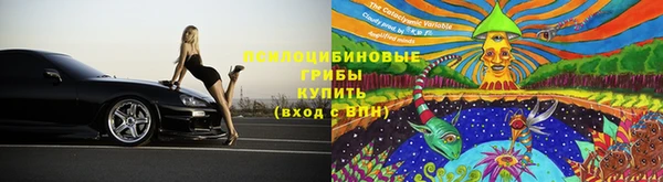 МДПВ Дмитров