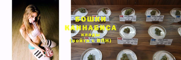 МДПВ Дмитров