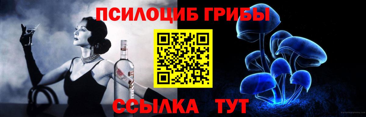 Железноводск  Галлюциногенные грибы прущие грибы  Вход с VPN 